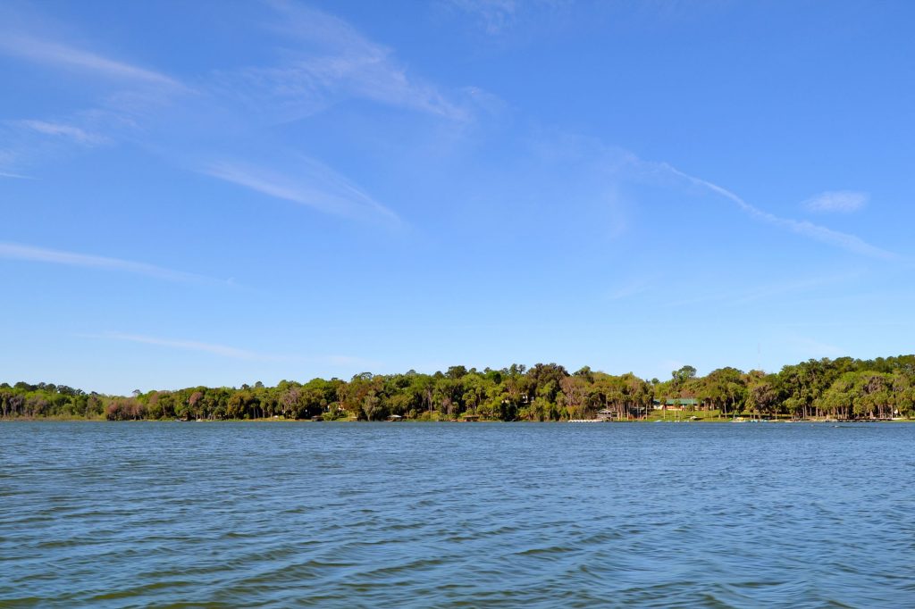 Bill James: The guardian of Lake Wauburg – UF At Work