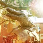 gator statue with filter