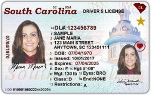 driver's license valid for air travel