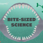 Bite-sized Science