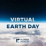 Virtual Earth Day