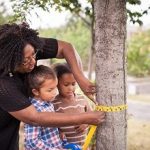 Project Learning Tree - People measuring tree trunk