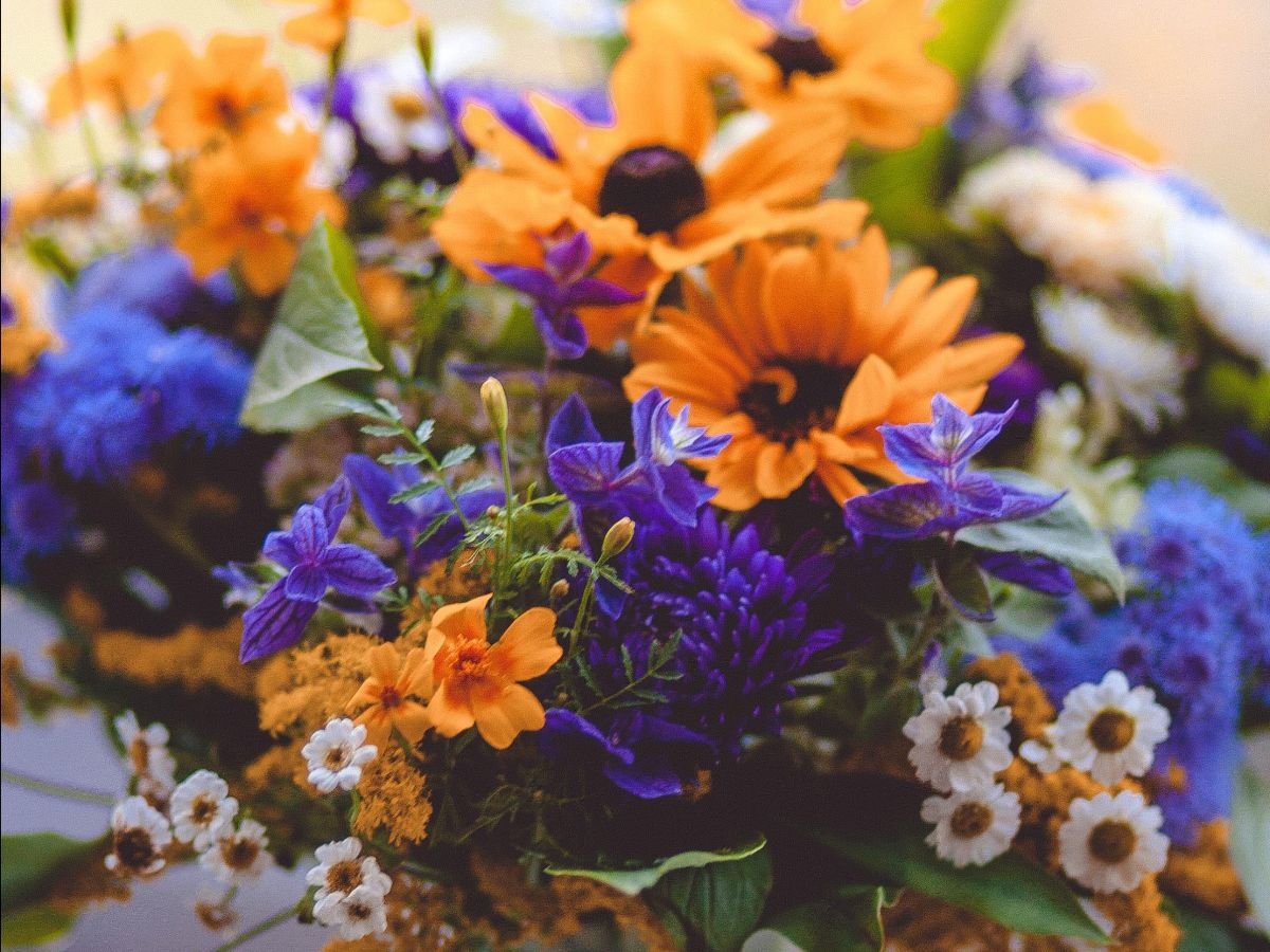 Orange and Blue Flowers