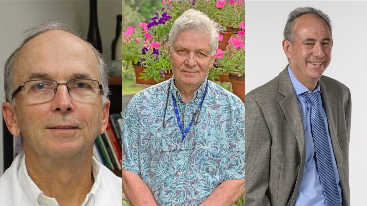 Three UF College of Medicine faculty in the departments of Anesthesiology, Pediatrics and Radiation Oncology were recently honored with the Lifetime Achievement Award.