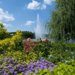 water fountain