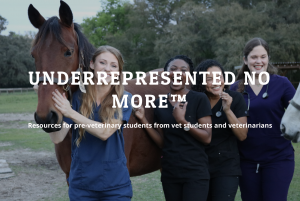 Underrepresented No More