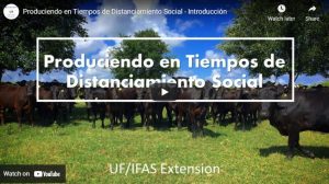 produciendo en tiempos de distanciamiento social