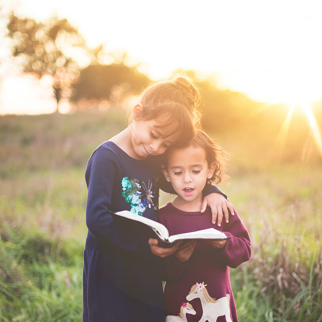 Alachua County Library District Hosts Story Time On The Green: Holiday ...