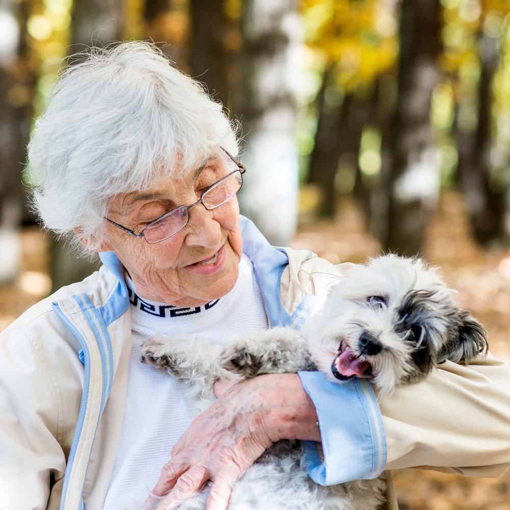 Long-term pet ownership may help older adults retain cognitive skills ...
