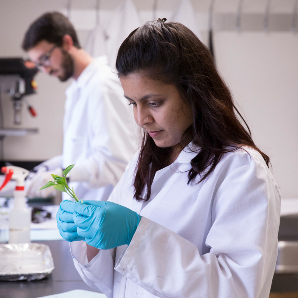 How Postdocs Are Shaping The Future UF At Work   UFatWork Sept22 PostDocs C 