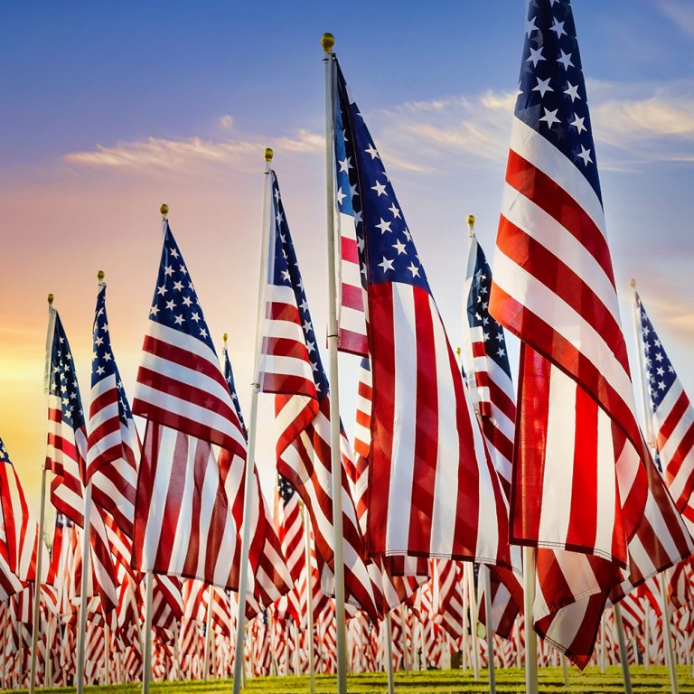 U.S. veterans bring unique qualities to UF community UF At Work