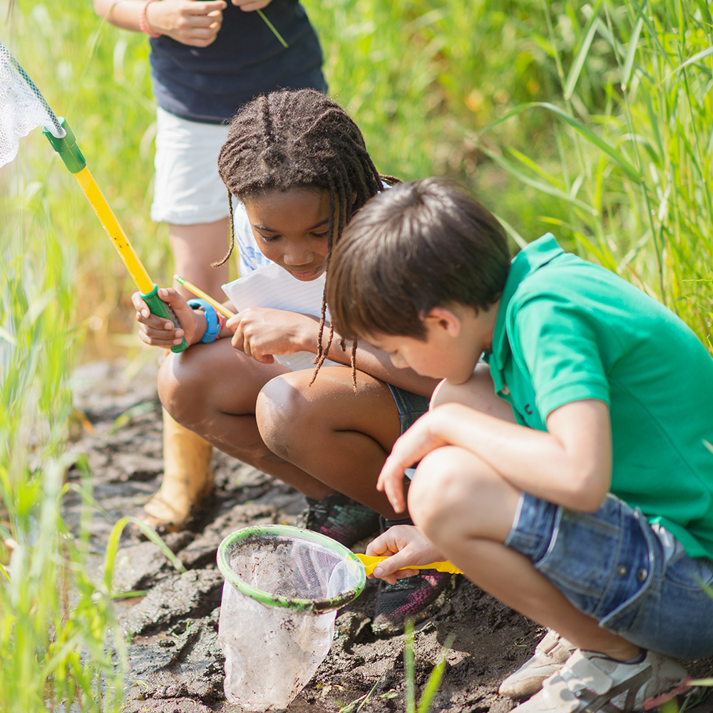 Explore spring break and summer camp possibilities UF At Work