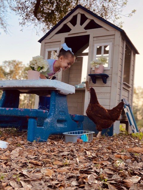 A child kneeling on top of a picnic table is looking down at a chicken smiling.