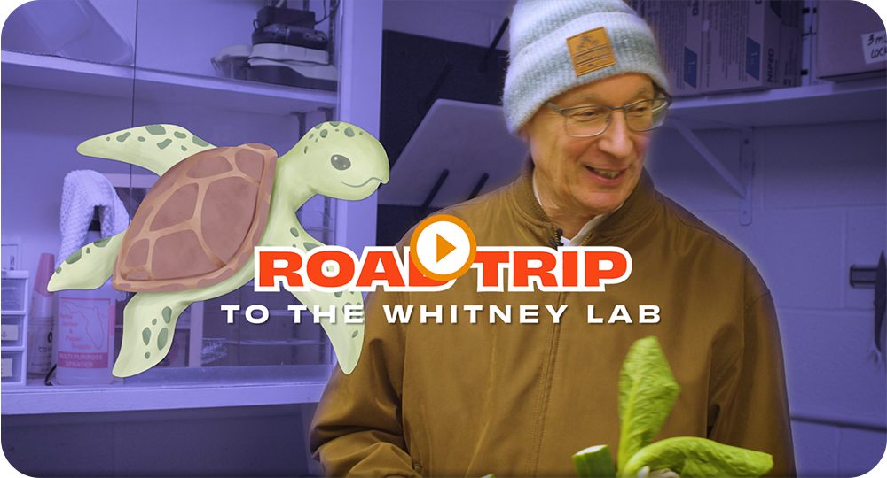 Joe Glover in a lab with an animated turtle.