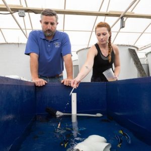 Farm but no fowl: How Florida aquaculture is growing the economy