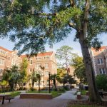 UF Campus with trees and historic buildings