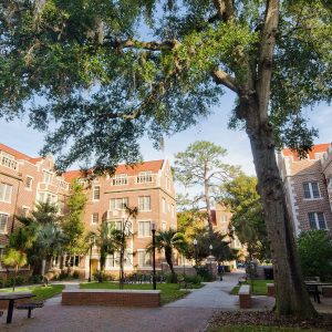 UF Campus with trees and historic buildings