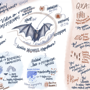 Natural history collections’ role in pandemic preparedness