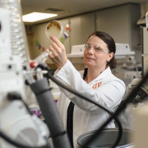 UF research spending and awards at record high