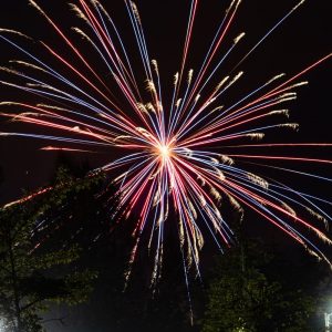 Ring in the new year with local fireworks